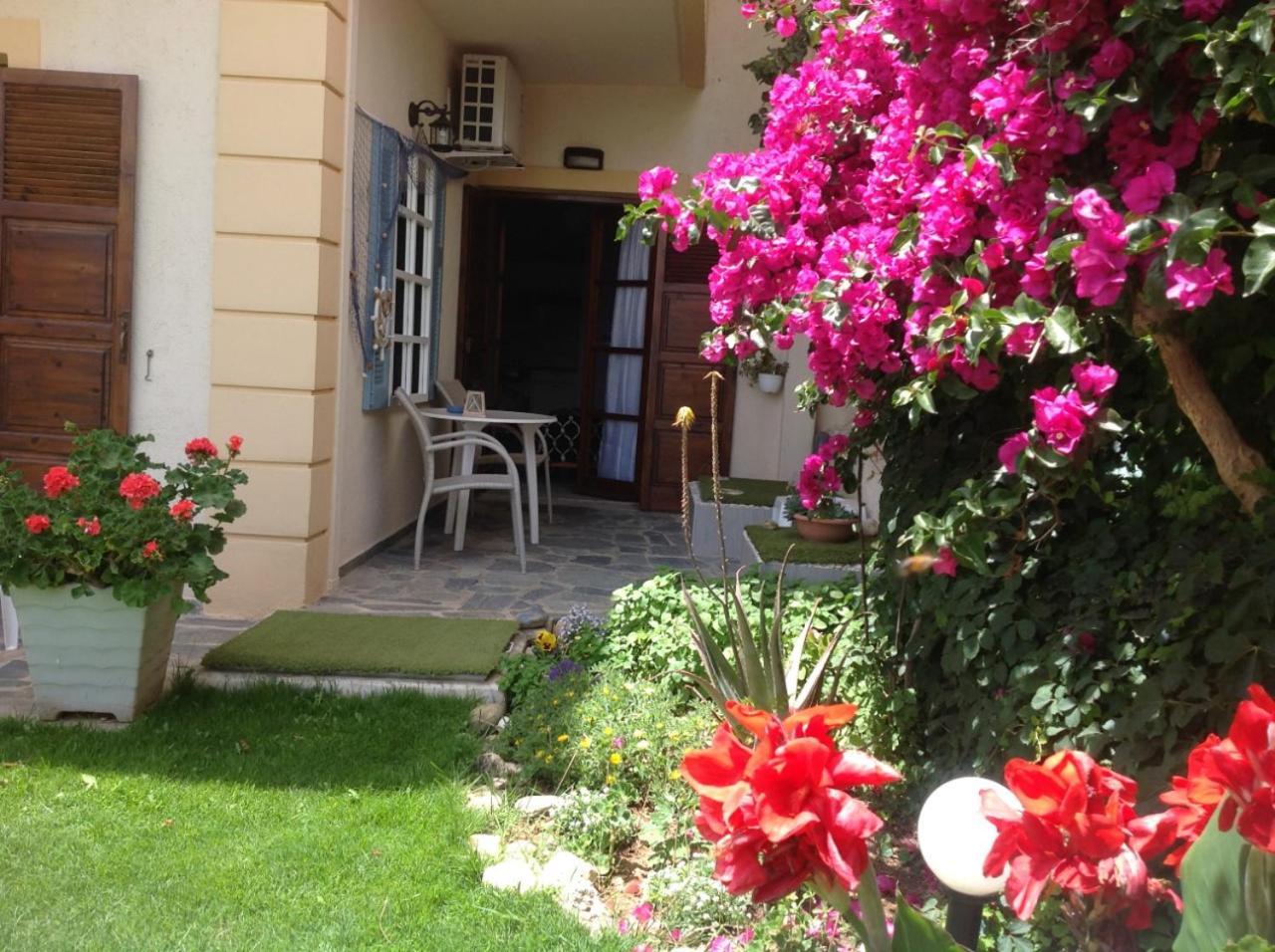 Asterias Studios&Apartments Kalyves Exterior foto